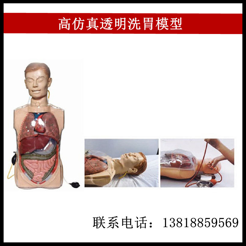 高仿真透明洗胃模型