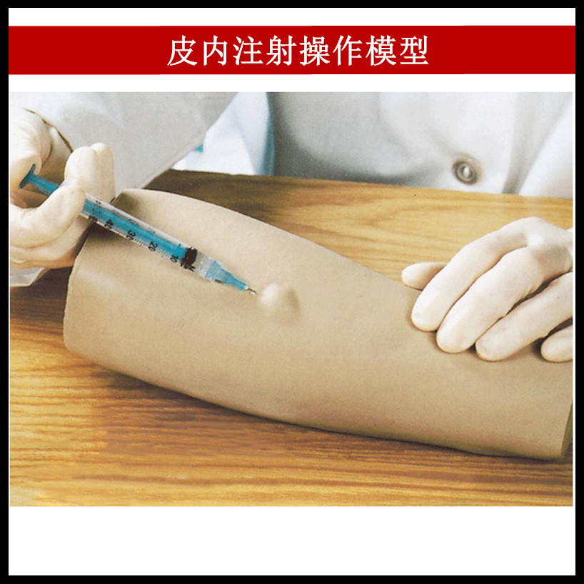皮内注射操作模型