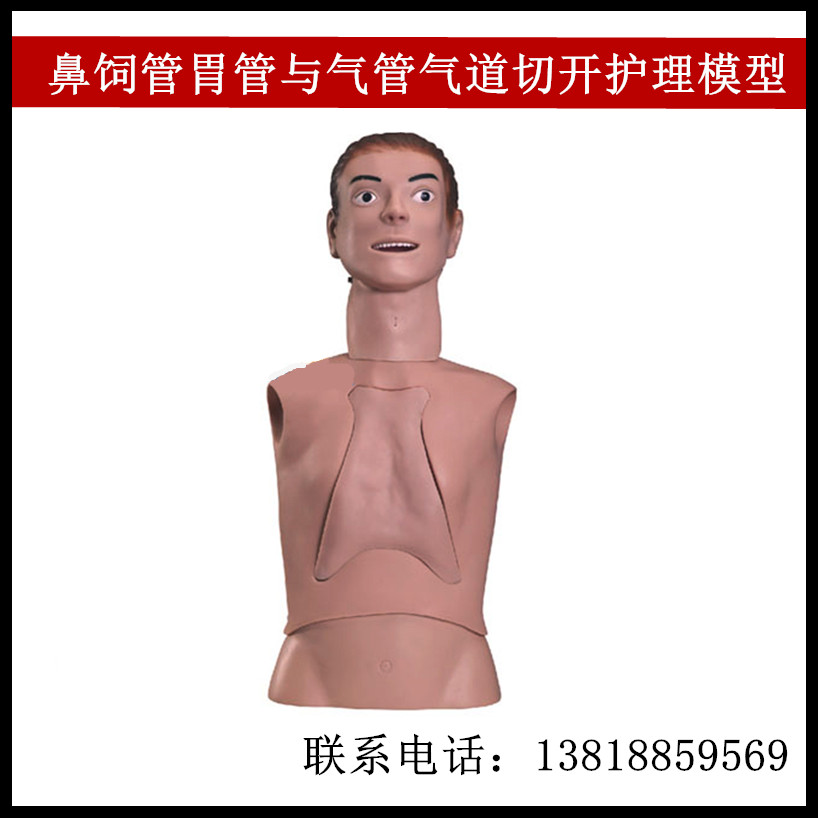 高级鼻饲管胃管与气管气道切开护理模型气管插管洗胃训练模具
