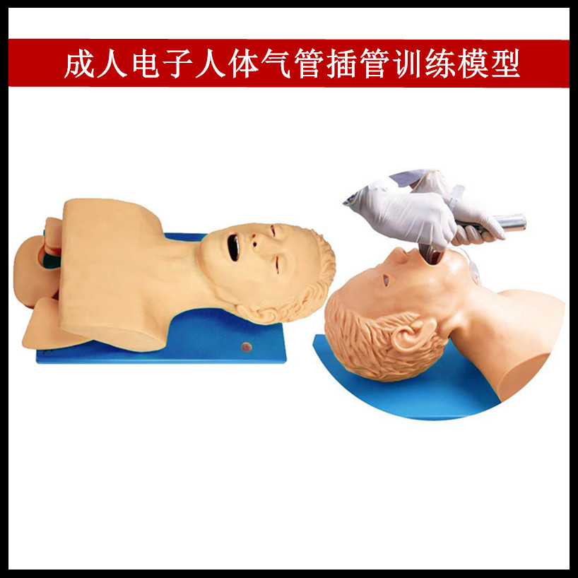 医学用成人电子人体气管插管训练模型牙齿带报警气道管理模拟人