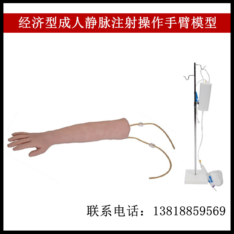 经济型成人静脉注射操作手臂模型