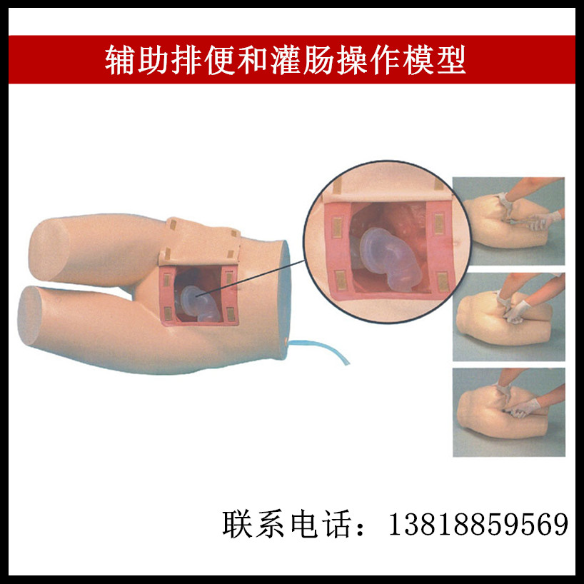 辅助排便和灌肠操作模型