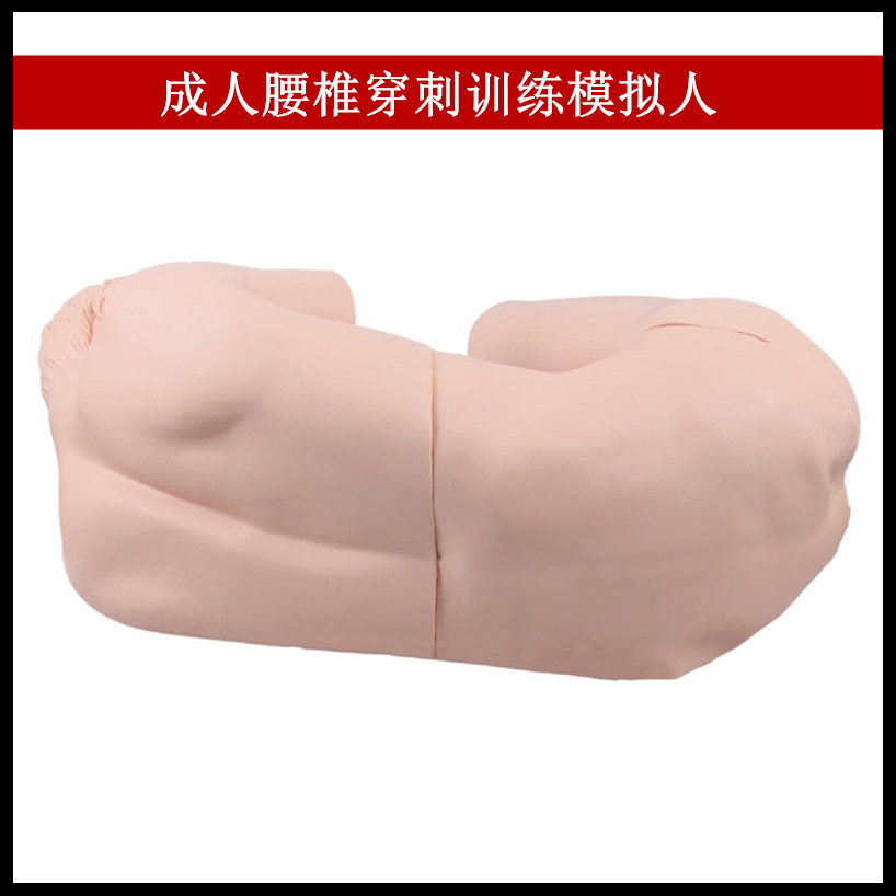 成人腰椎穿刺训练模拟人 模拟临床腰椎穿刺仿真标准化病人模型