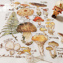 Cross-stitch French DMC embroidery thread kit little jiang September original design mushroom illustrated book