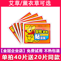 Warm paste treasure paste self-heating female 100 pieces of Palace cold conditioning cold warm Palace warm treasure waist waist and abdomen hot Post