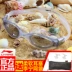 Kính râm Li Ning Đàn ông và phụ nữ Kính râm chống nước và chống sương mù HD dành cho người lớn và thoải mái kinh bơi Goggles