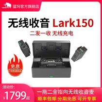 Rapa Wireless Microphone Lark150 Single Counter Camera Collar Clip Microphone Small Bee Chest Wheat Mini Radio Mammoth