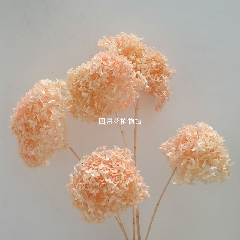 云朵般的绣球花束长枝干花永生花家居软装饰品艺术插花拍摄道具