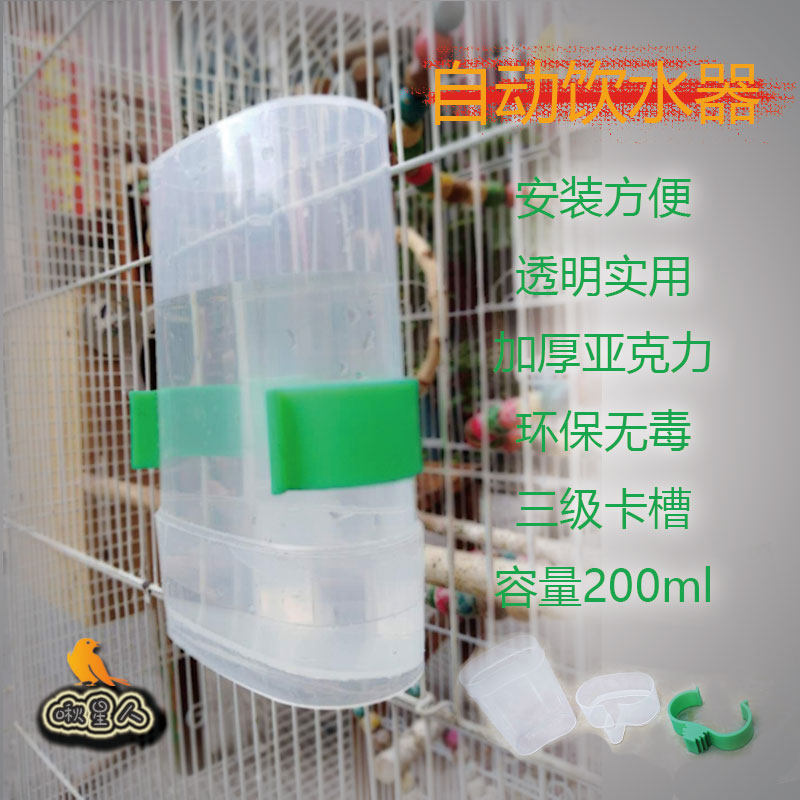 Large Number of thickened Eastern Gorge 8 Gothic birds with automatic water drinkers feeding parrot supplies for parrot supplies anti-sprinklers