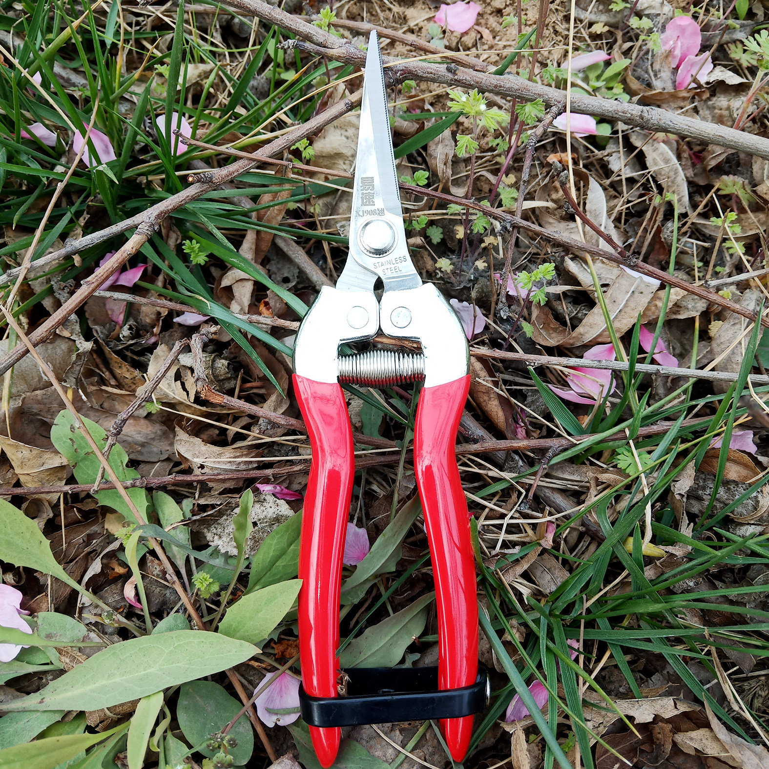 Easy speed XJ908 upturned thin fruit scissors stainless steel fruit picking fruit picking fruit shears grape vegetables fruits and vegetables flower pruning elbow scissors
