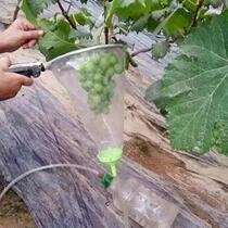 Grape fruit expander fine Atomization Nozzle potion liquid medicine liquid reflux red soaking fruit device agricultural sprayer nozzle