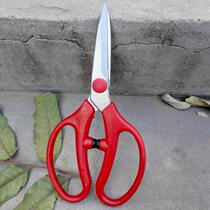Grape scissors fruit fruit fruit fruit scissors grapefruit orange picking shear strong horticultural shears pruning shears