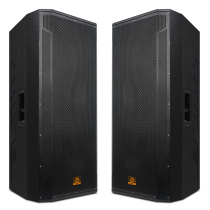 Lion Music Professional Double 15 Inch Stage Speaker Large Room Wedding Event Performance High Power Audio BM-25