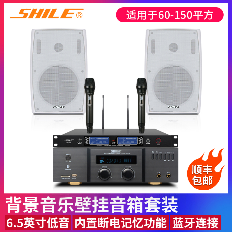 Lion Audio Combination Power Classroom Restaurant Bookshelf Sound Set Meeting Wall Hanging White Speaker 2011 102