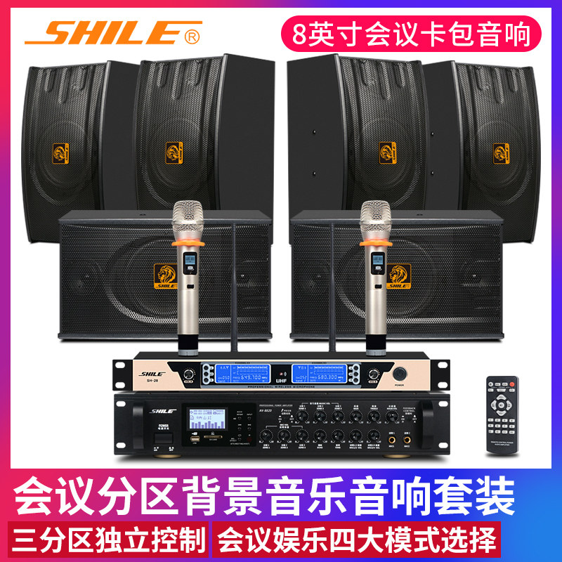 Lion Music AV8820 118 conference room audio combination set background music training room Bluetooth amplifier sound box