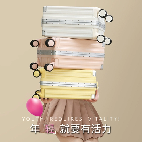 Кенгуру, чемодан, портативный самолет, новая коллекция