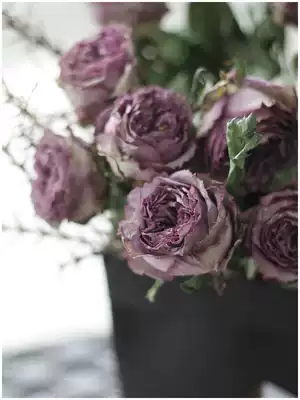 WOOKEN retro purple rose dry flower niche natural real flower dried branches home decoration homestay model room INS