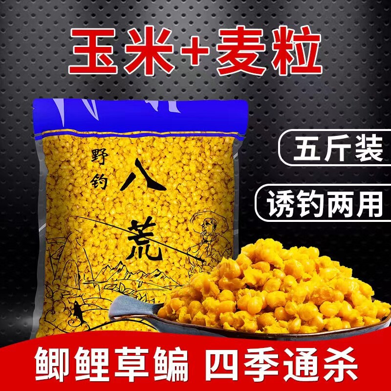 5 catties crucian carp, carp, grass carp, wild fishing and nesting materials, secret traditional Chinese medicine fermented corn, wheat grain bottom nest