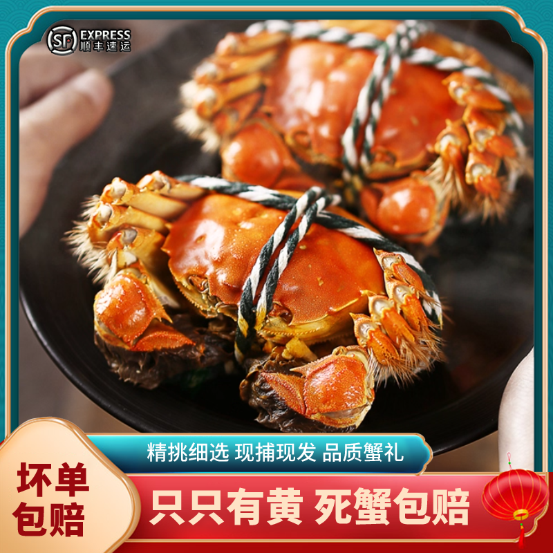 阳澄湖大闸蟹礼盒：鲜活母蟹的奢华馈赠