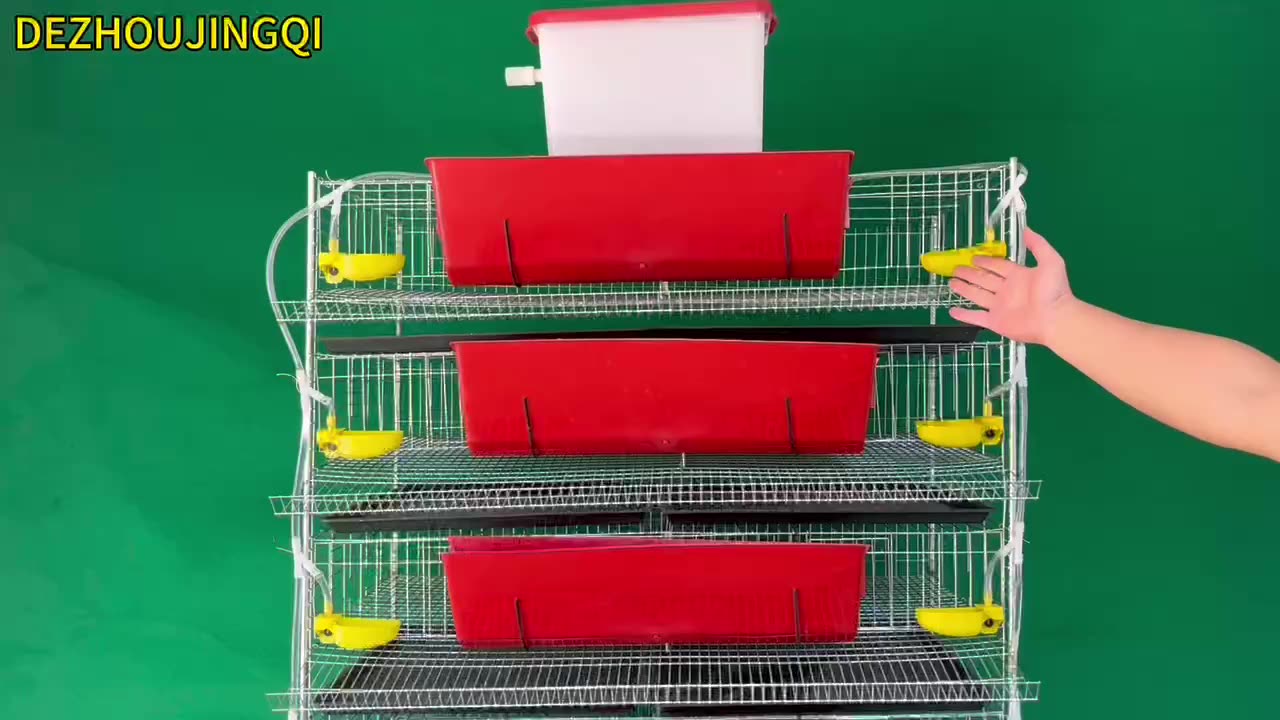 Hot Sale Quail Cage For Male And Female Fertilized Eggs Commercial