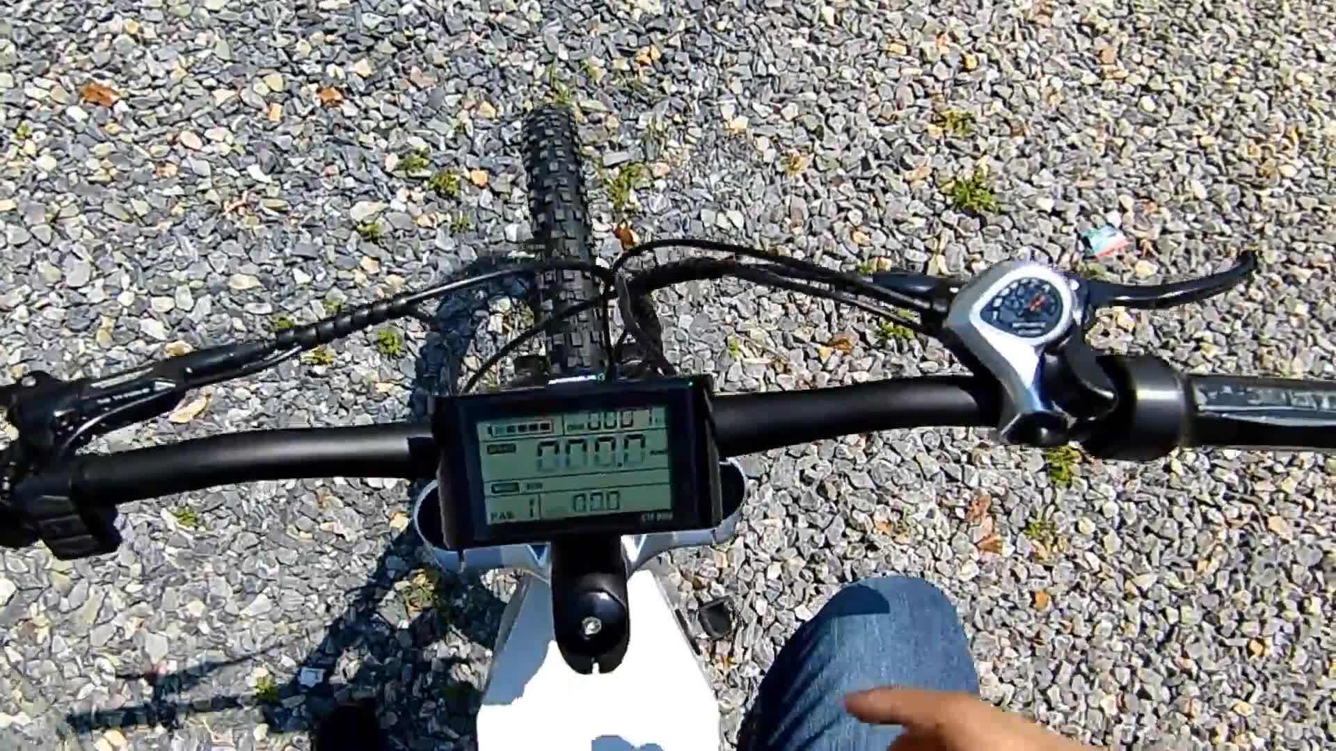 frame electric bike