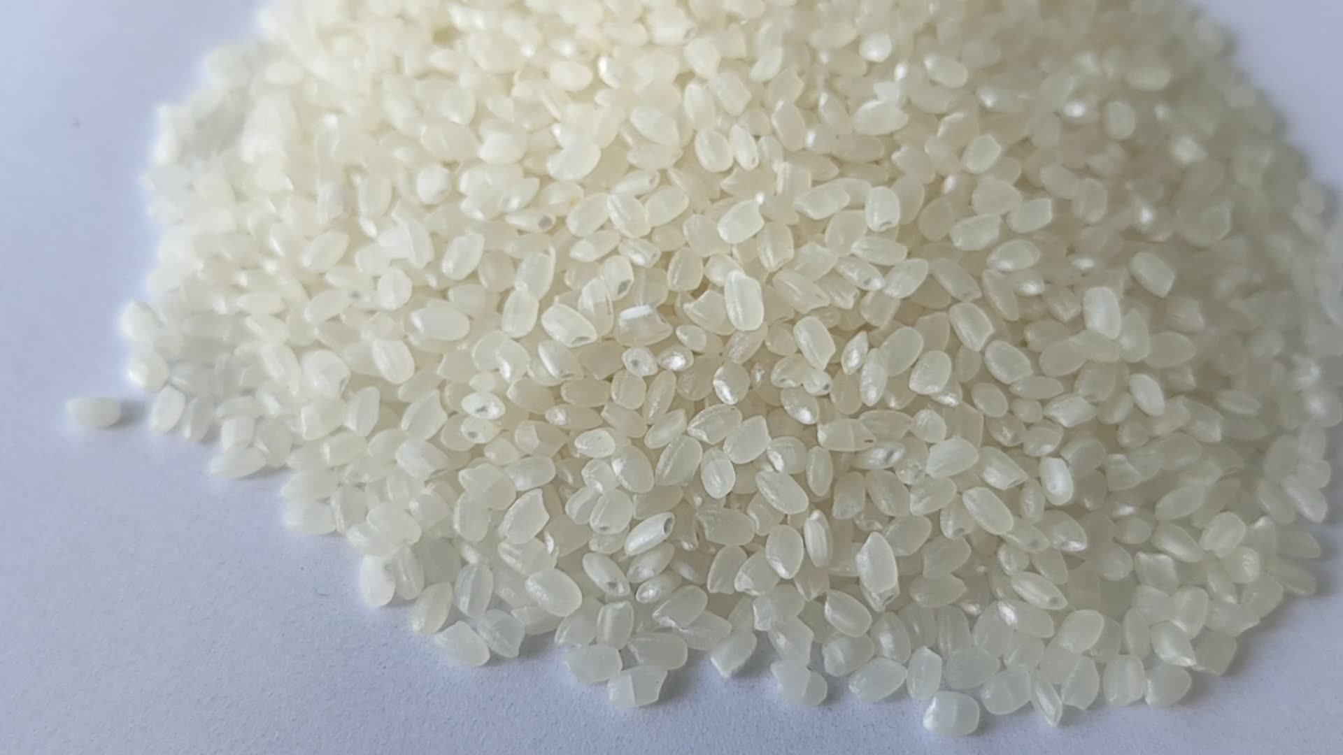 Best Selling Japonica Rice Round Seeds Short Grain White Rice From