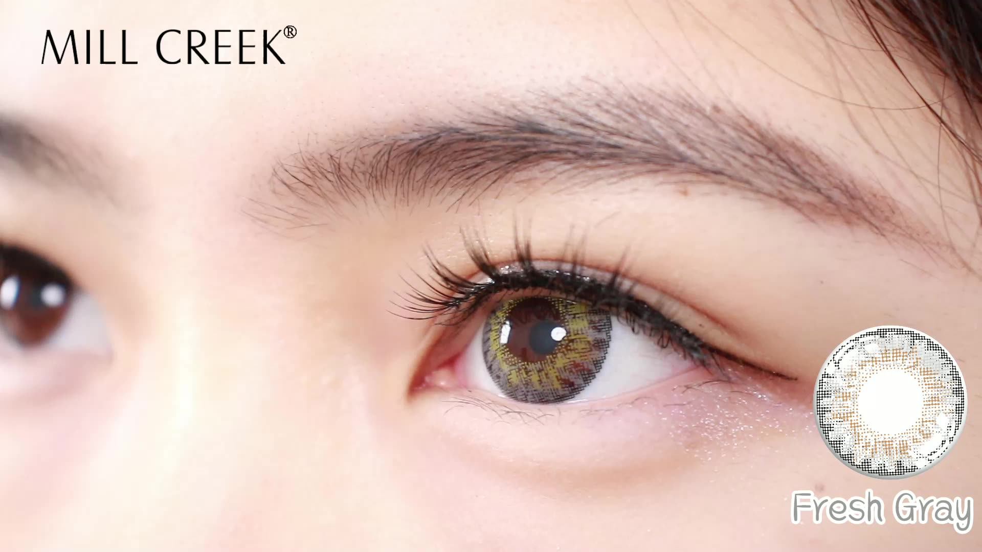 Free Shipping Sample Contact Lenses Colored Contact Lens Millcreek