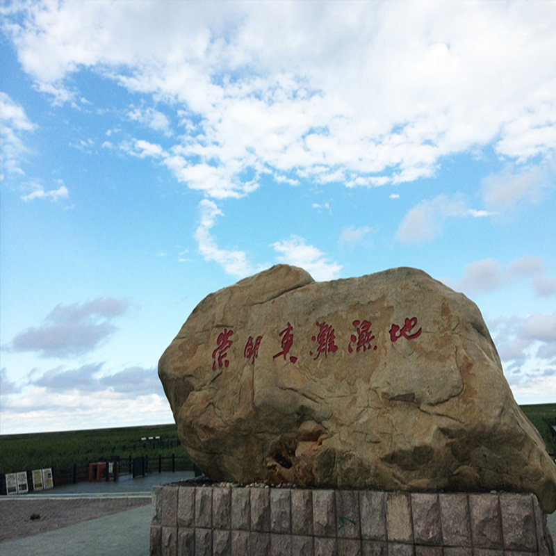 上海东滩湿地公园门票值不值?25年最新游玩全攻略+避坑指南-旅游攻略-淘宝好物网