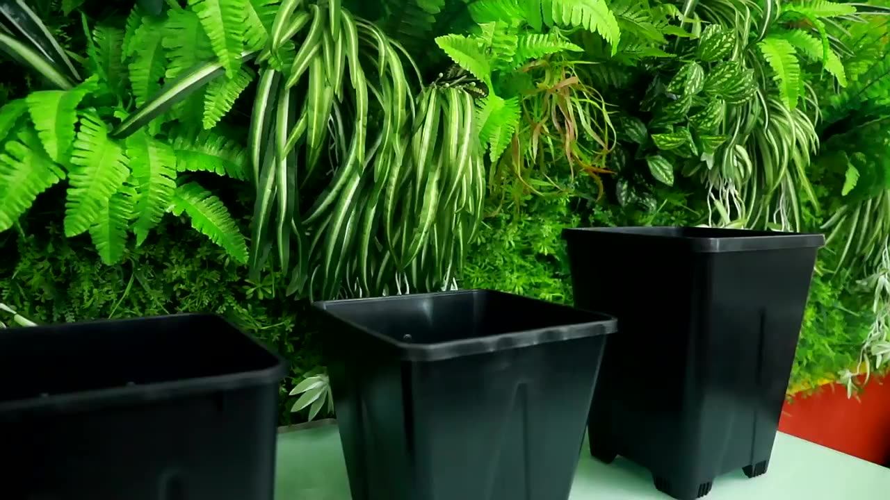 Greenhouse 10 Liters Square Plastic Plant Pots Tomatoes Grow Bucket