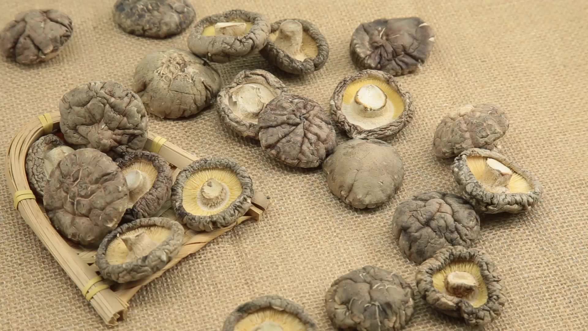 High Quality Dried Mushroom Shiitake At A Low Price Per Kg Dried