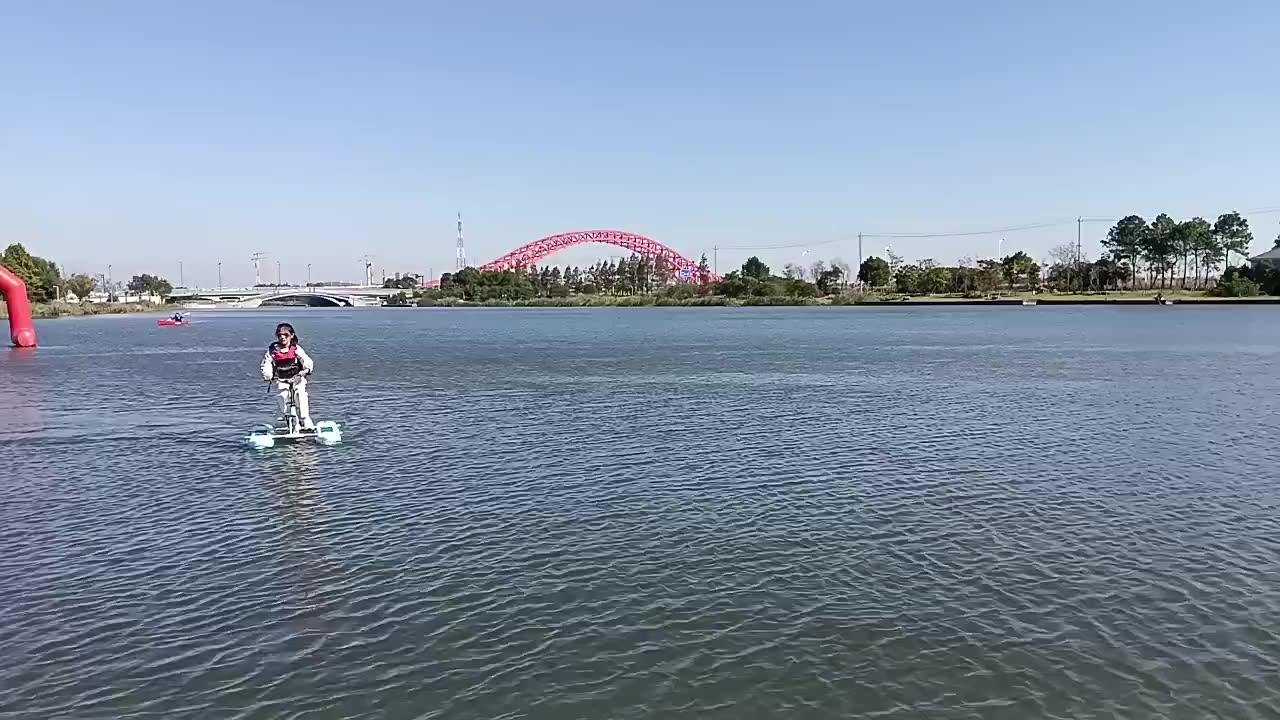 Inflatable Water River Sea Bike Swan Pedal Boat Person Jet Bike Flying
