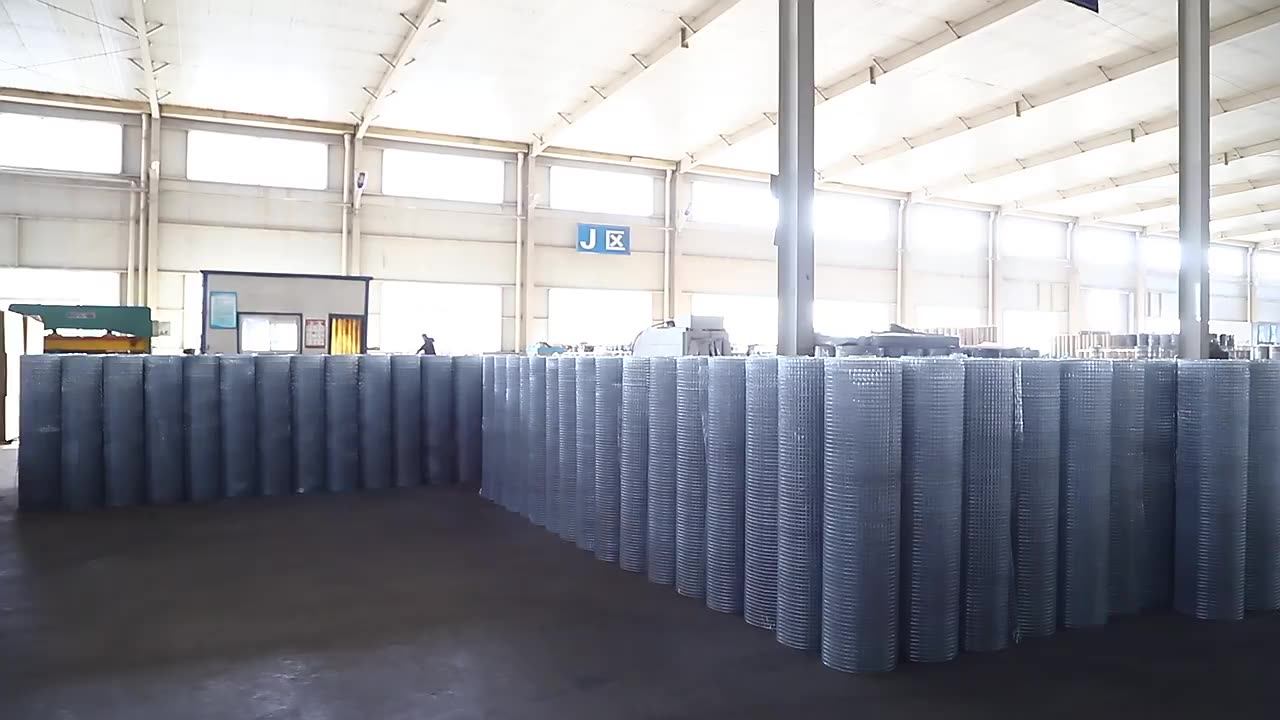 High Quality Fish Pot Wire Gabion Mesh Green Pvc Coated Welded Wire Mesh Roll Buy Pvc Welded