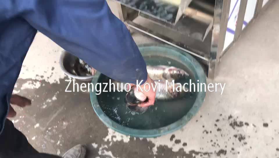 Electric Maldives Dry Fish Cutter Automatic Small Fish Cutting Machine