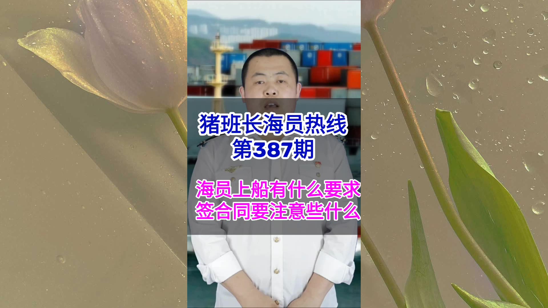 第387期【猪班长海员热线】海员上船有什么要求？签合同要注意些什么？