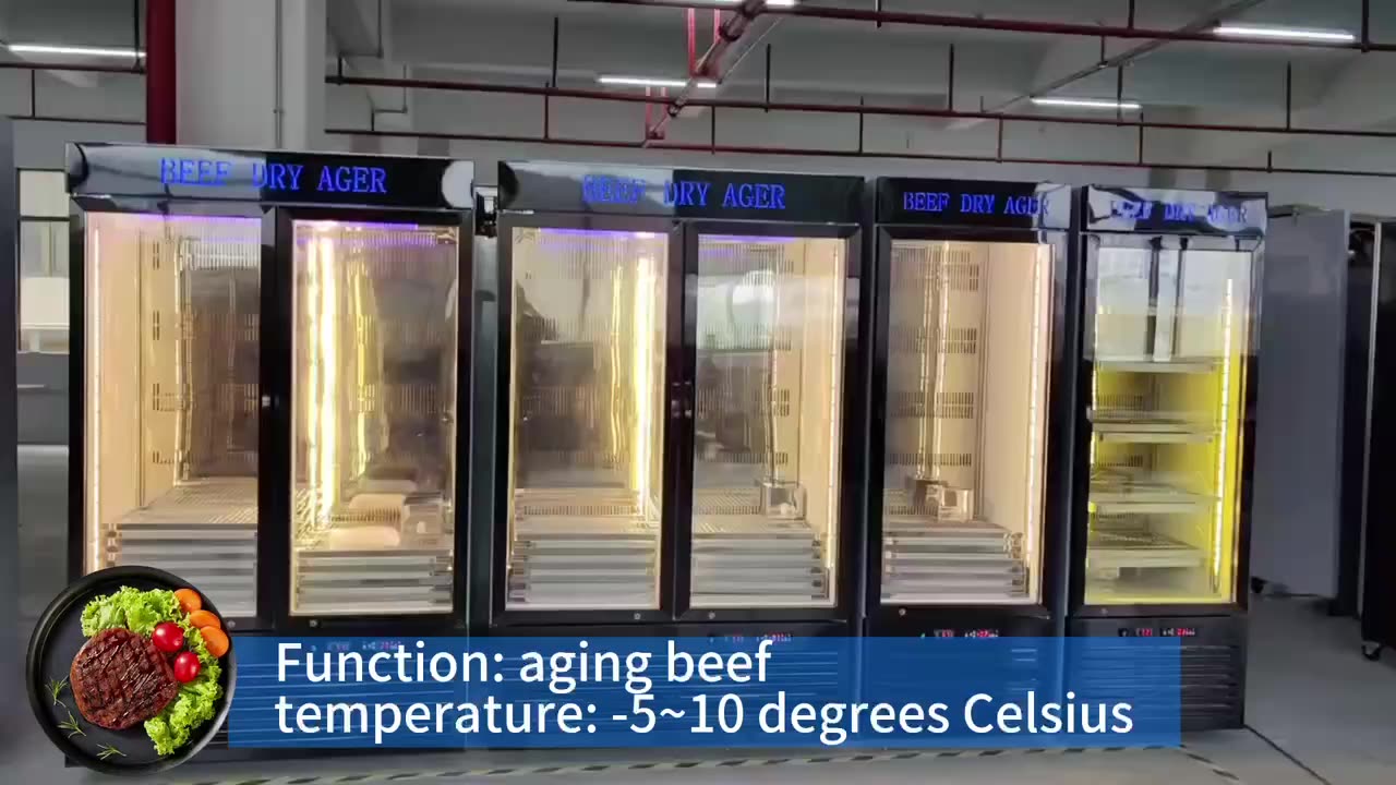 Dry Age Fridge Beef Ager Commercial Salami Aging Fridge Dry Cure Meat