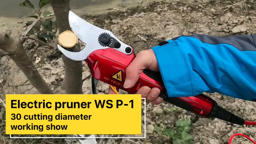 Electric Vineyard Scissors Buy Electric Vineyard Scissors,Electric Scissors For Garden,Pole