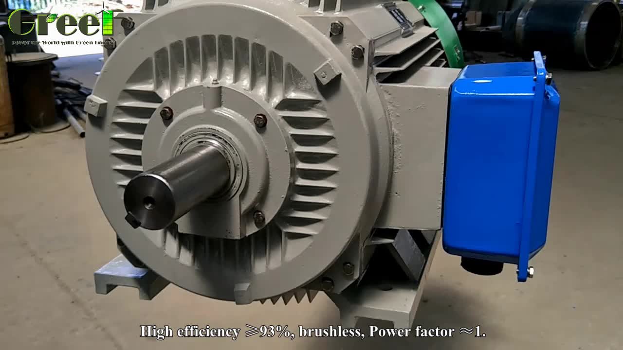 5kw,10kw,15kw,20kw,25kw,30kw Low Rpm Permanent Alternator Free