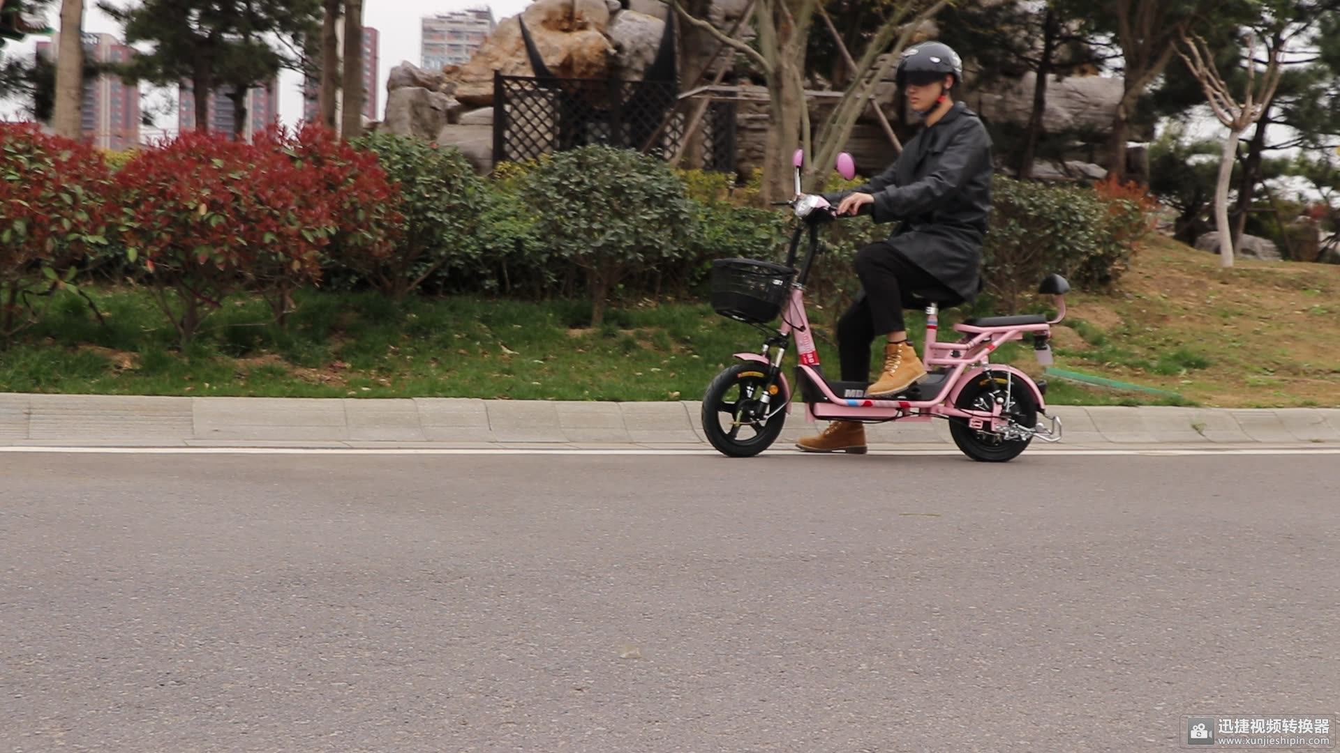 Electrical Moped Portable Electric Bike/electric Bicycle/ Ebike/ebike