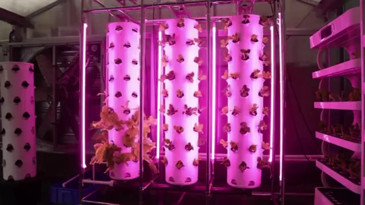 Hydroponics Rolling Benches Vertical Farming Rotating Aeroponic Tower Garden Systems With Grow
