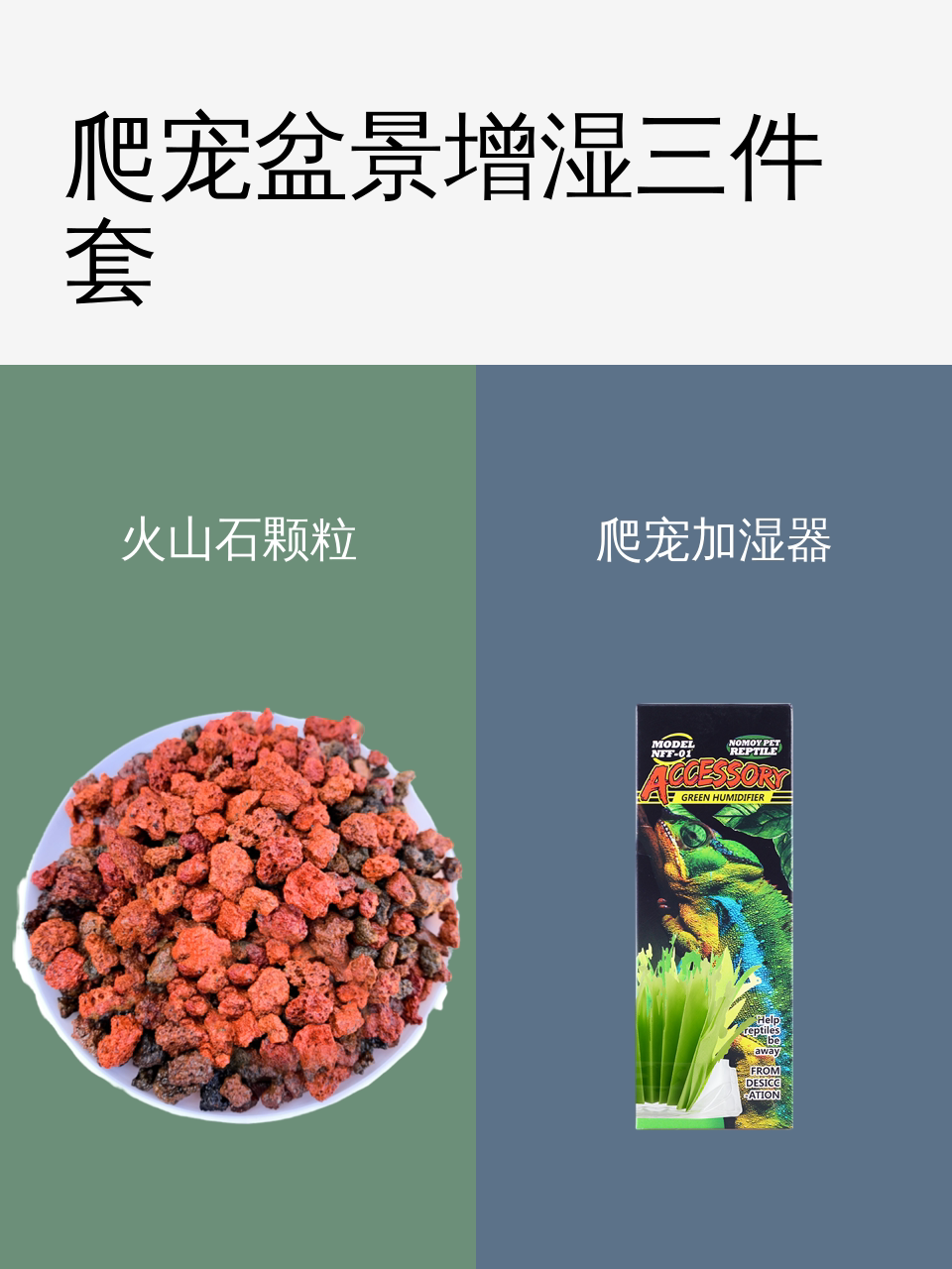 爬宠盆景增湿三件套-淘宝逛一逛