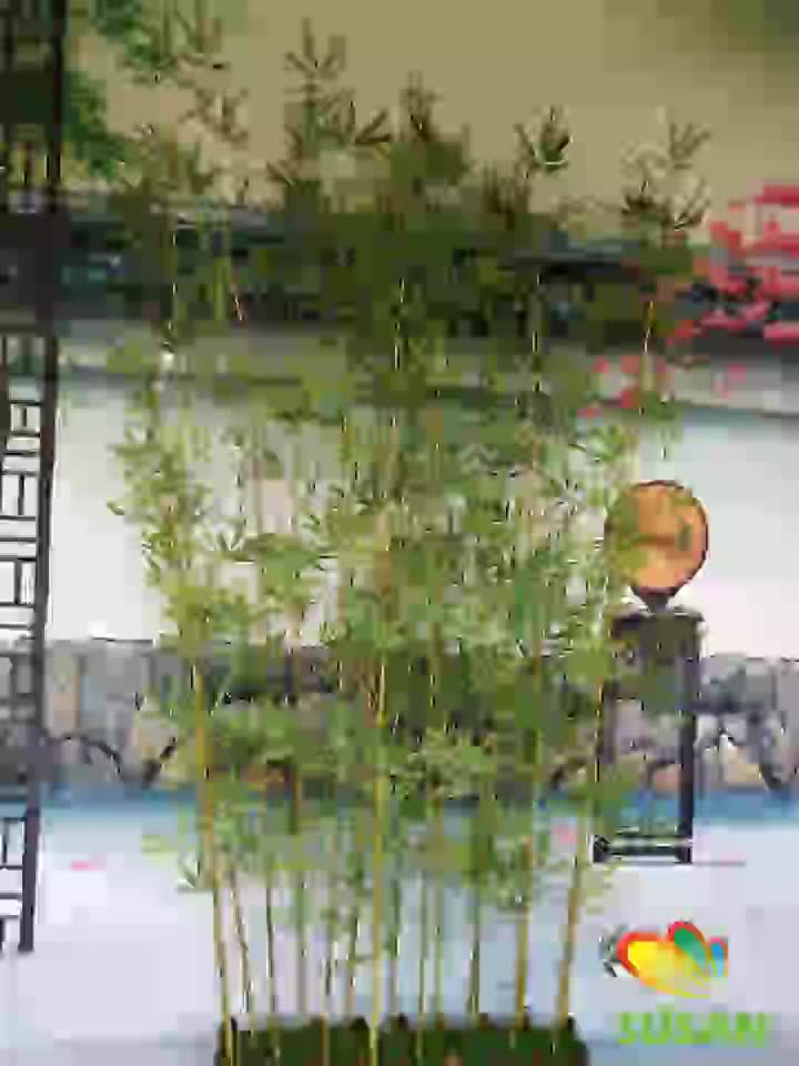 Wholesale 600cm Height Artificial Bamboo Tree,Artificial Bamboo Plants