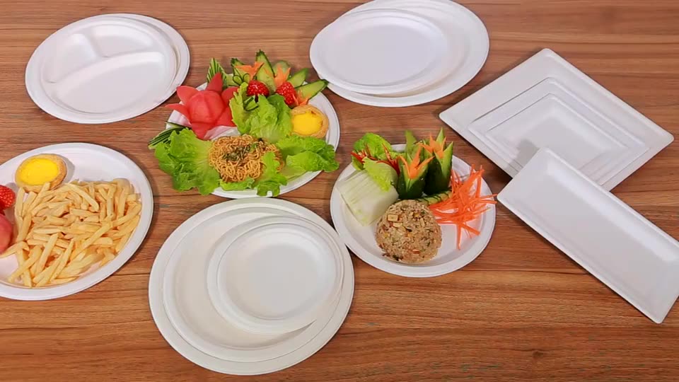 Factory Wholesale Ecofriendly Disposable Sugarcane Bagasse Square