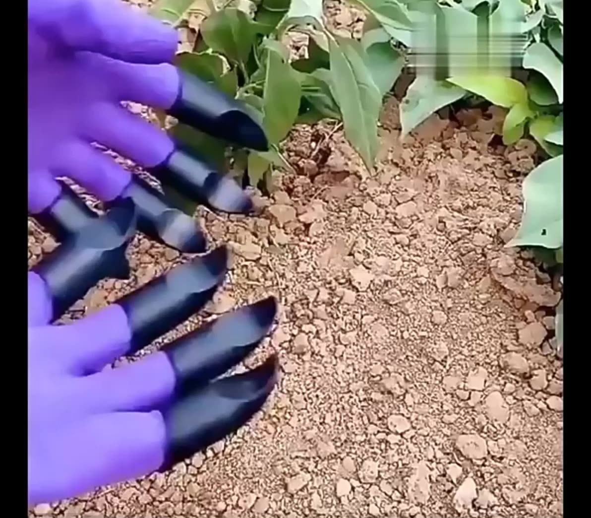 Soft Latex Dipped Construction Working Digging Planting Agriculture