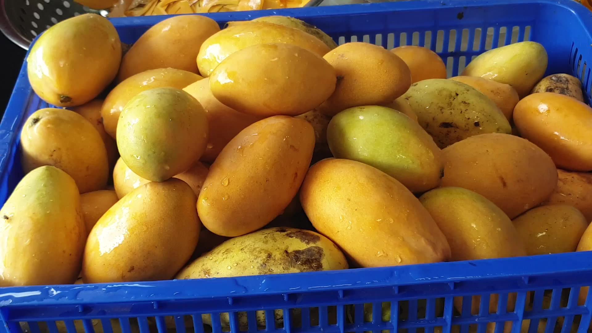 11.2fl Oz Bottle Premium Cojo Cojo Mango Juice Drink With Nata De Coco