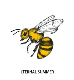 ETERNAL SUMMER 银河系