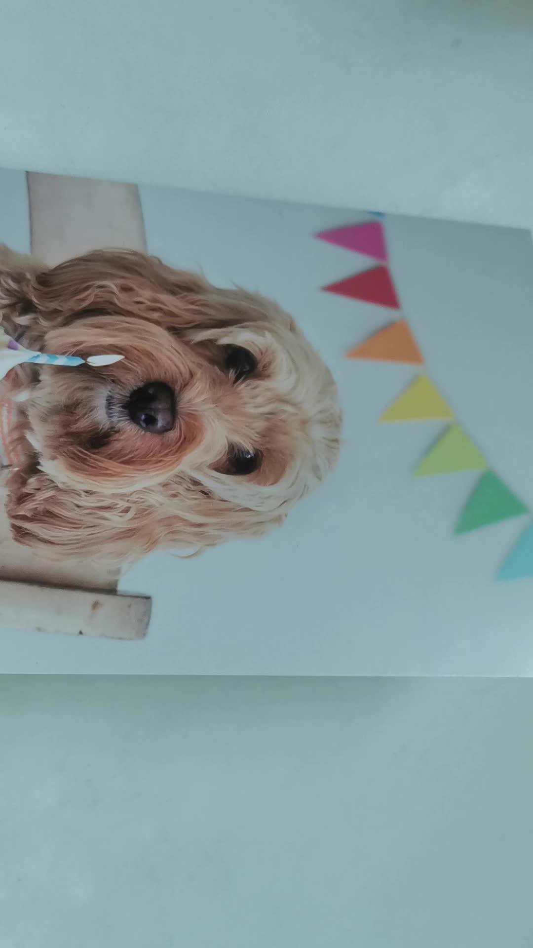 Diy Custom Audio Programmable Self Recording Greeting Card Voice Recordable Greeting Cards