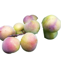 Authentic Sichuan boneless plum crispy plums May crispy plums fresh fruit boneless plums new set meal