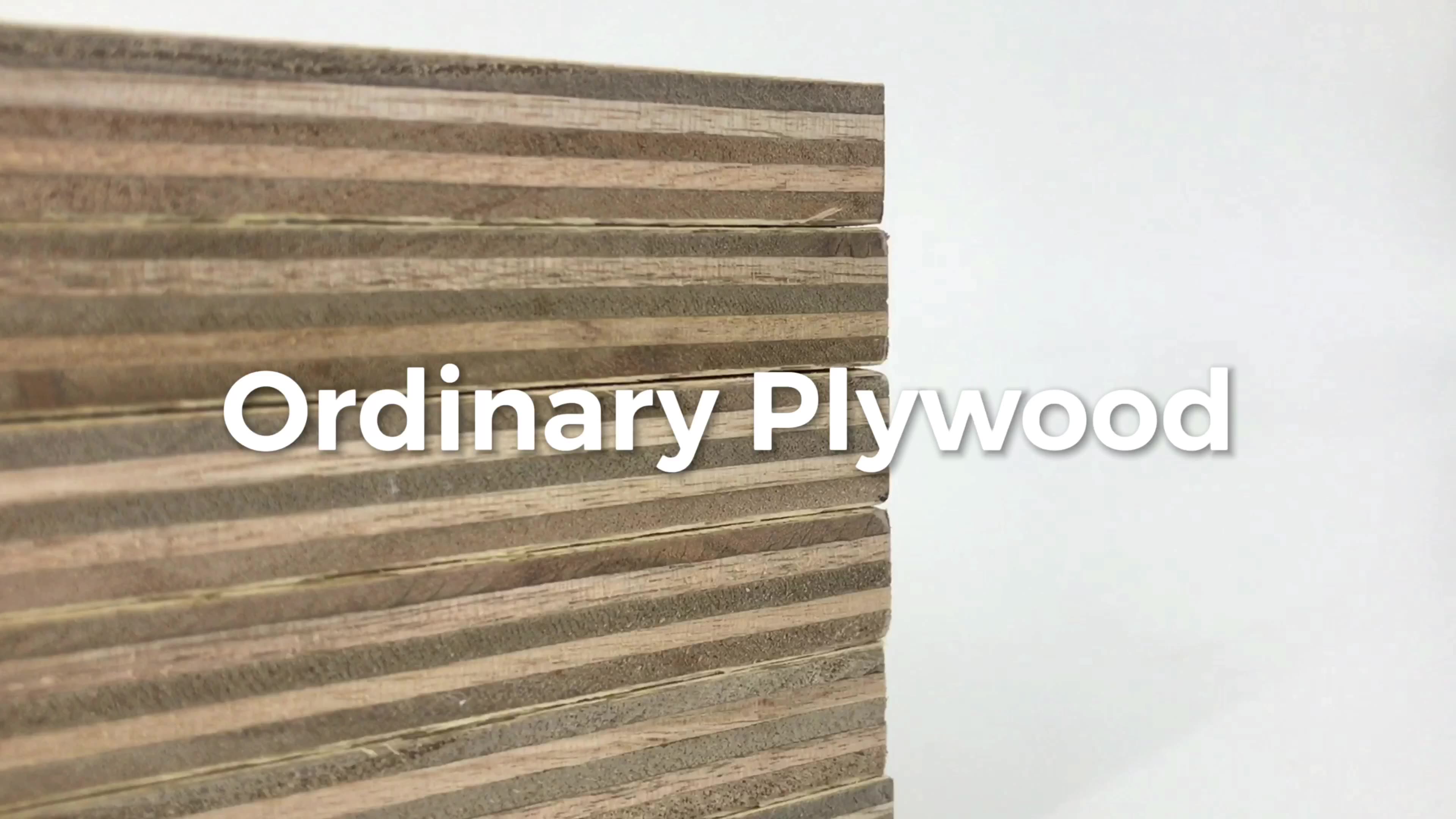 Eucalyptus Plywood T1 Mersawa Face And Back Furniture Use High Quality