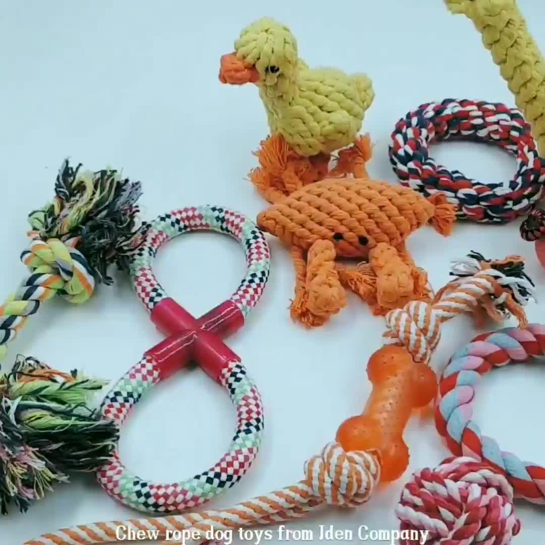 10 Pack Gift Pet Set Variety Health Benefits Strong Chew Rope