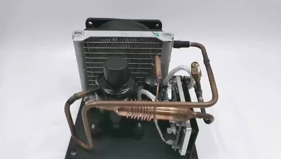 Dc 12v 24v Mini Refrigeration Condensing Unit For Micro Cooling Device